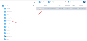 DirectAdmin